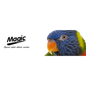 Фотобумага Magic A4 матовая 170g (100л) Superior
